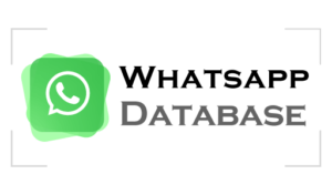 WhatsApp Database Logo