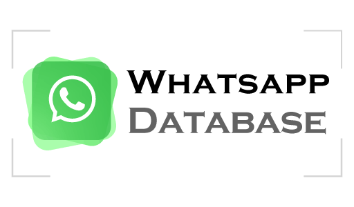 WhatsApp Database Logo