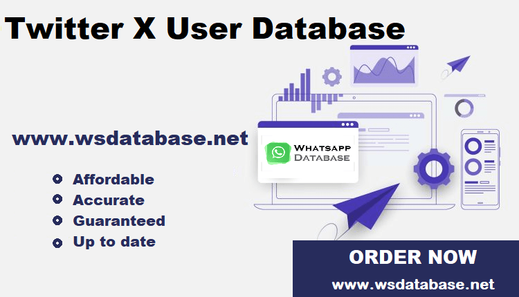 Twitter X User Database